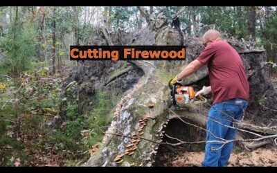 #63 Cutting firewood! Stihl MS260 PRO