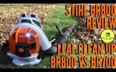 STIHL BR800 Blower Review | BR800 vs BR700 | Fall Leaf Clean Up